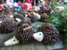 20141207_101546.jpg
