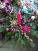 20141207_101600.jpg