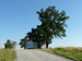 P1040344 (2).JPG