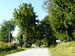 P1040355.JPG