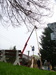 P1050816.JPG