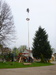 P1050825.JPG