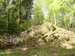 P1050980.JPG