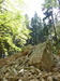 P1050992.JPG