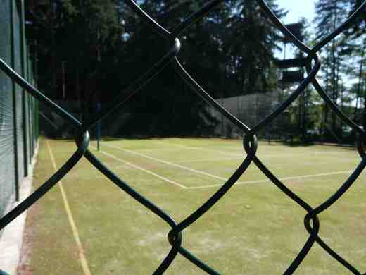 P1040247.JPG