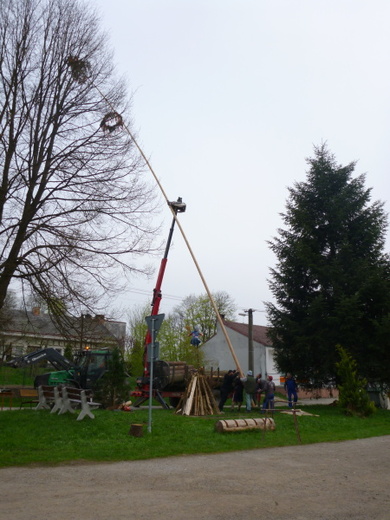 Stavění májky 2013